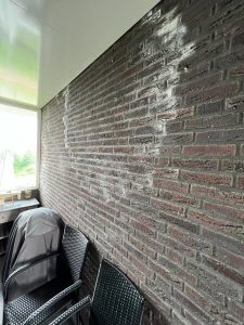 zoutuitslag in bakstenen muur- VVE Mayflower- Lelystad